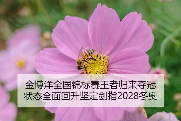 jin-bo-yang-quan-guo-jin-biao-sai-wang-zhe-gui-lai-duo-guan-zhuang-tai-quan-mian-hui-sheng-jian-ding-jian-zhi-dong-ao-2-409.jpg