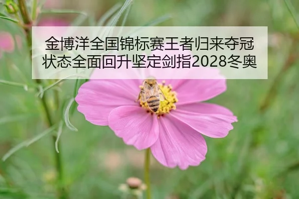 金博洋全国锦标赛王者归来夺冠 状态全面回升坚定剑指2028冬奥